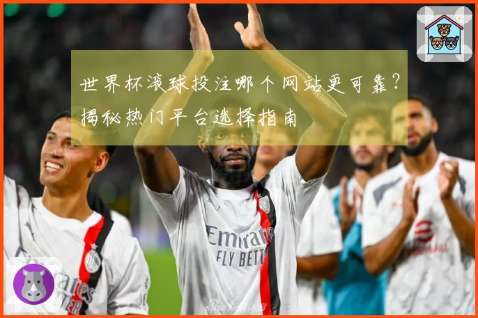 世界杯滚球投注哪个网站更可靠？揭秘热门平台选择指南