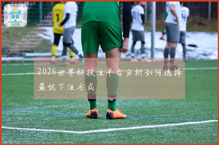 2026世界杯投注平台分析如何选择最优下注方式