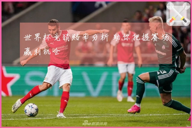世界杯竞猜赔率分析 助你把握赛场赢利机会