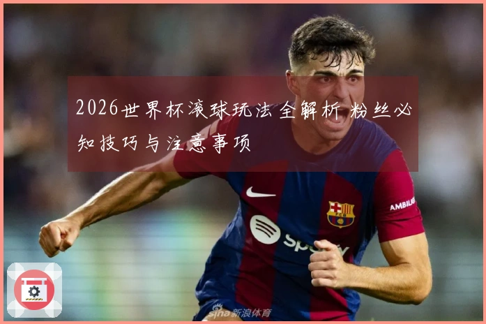 2026世界杯滚球玩法全解析 粉丝必知技巧与注意事项