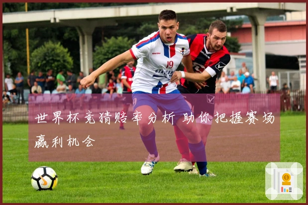 世界杯竞猜赔率分析 助你把握赛场赢利机会